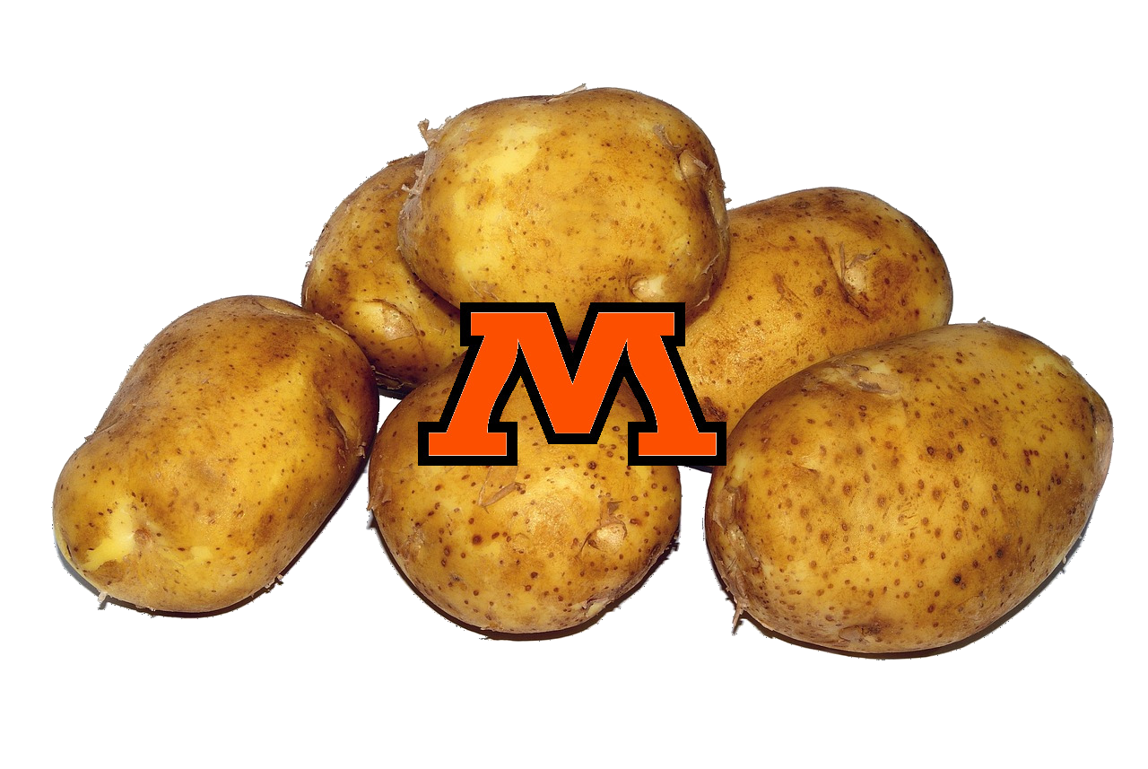 The Moorhead Spuds logo over six potatoes